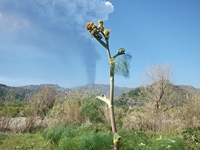 cantara Calatabiano18032012 039